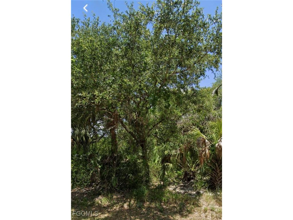 1621 Canton Avenue Lehigh Acres FL 33972 2025008531 image7
