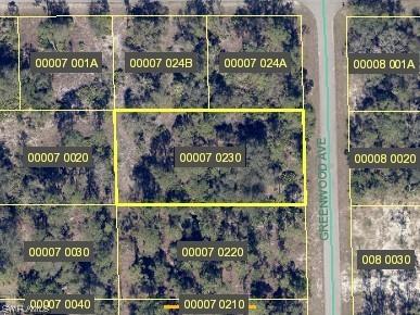 1621 Greenwood Avenue Lehigh Acres FL 33972 223046829 image1