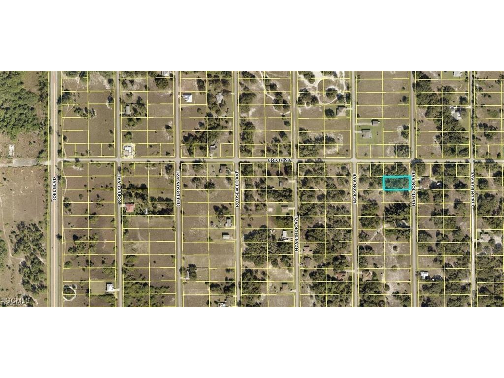 1621 Hamilton Avenue Lehigh Acres FL 33972 2025015028 image2