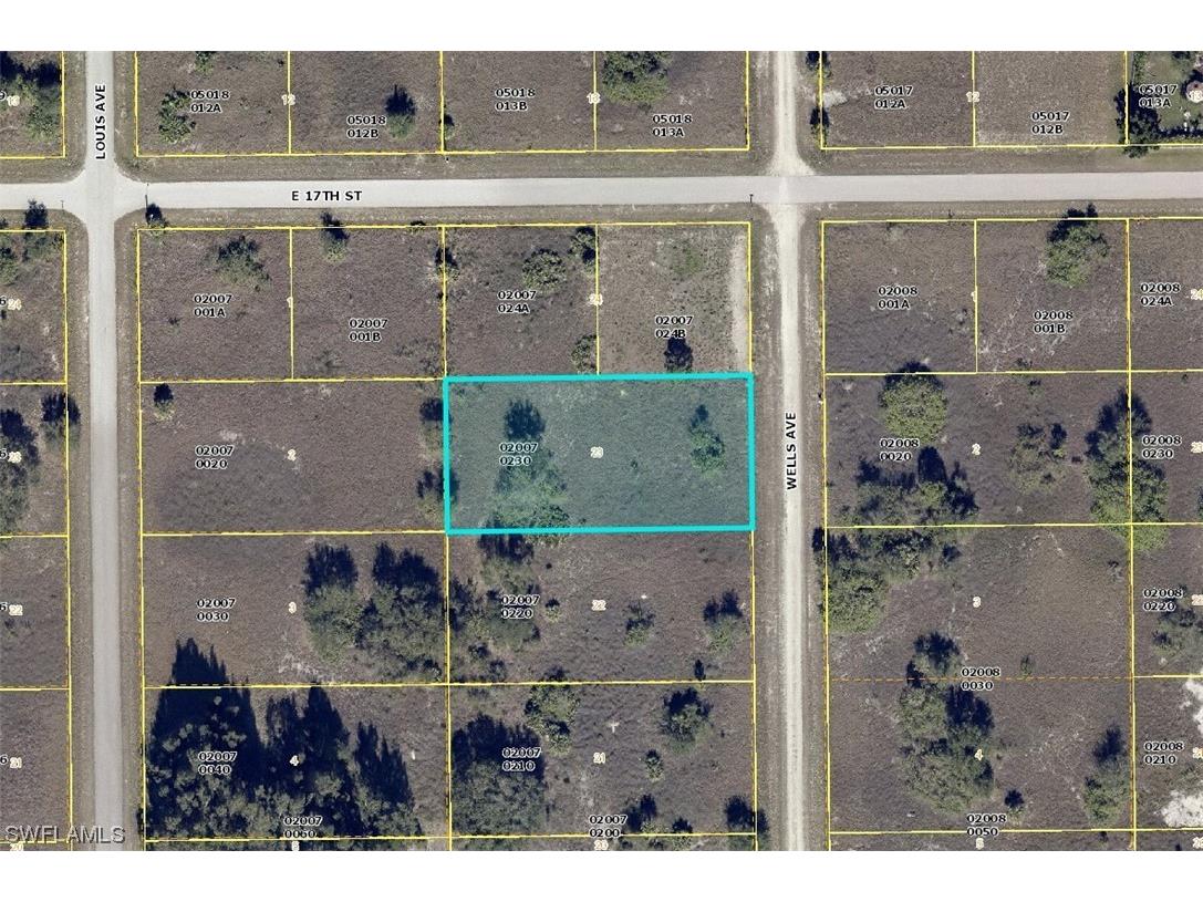 1621 Wells Avenue Lehigh Acres FL 33972 223084843 image1