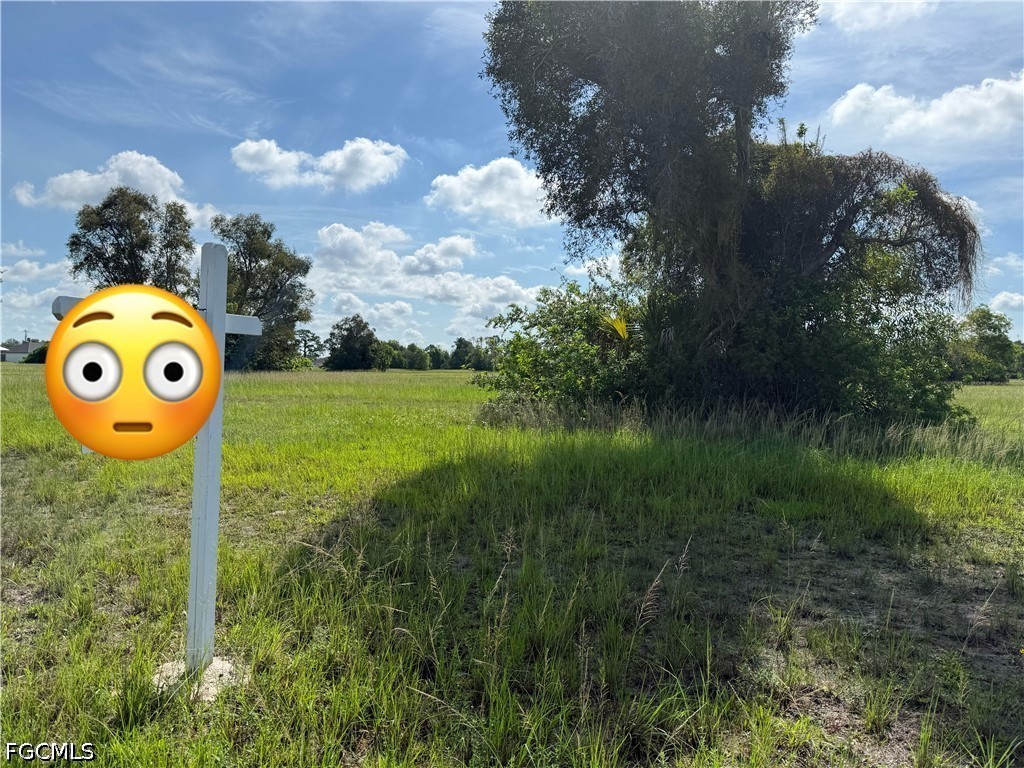 1627 NW 5th Avenue Cape Coral FL 33993 2026026169 image2