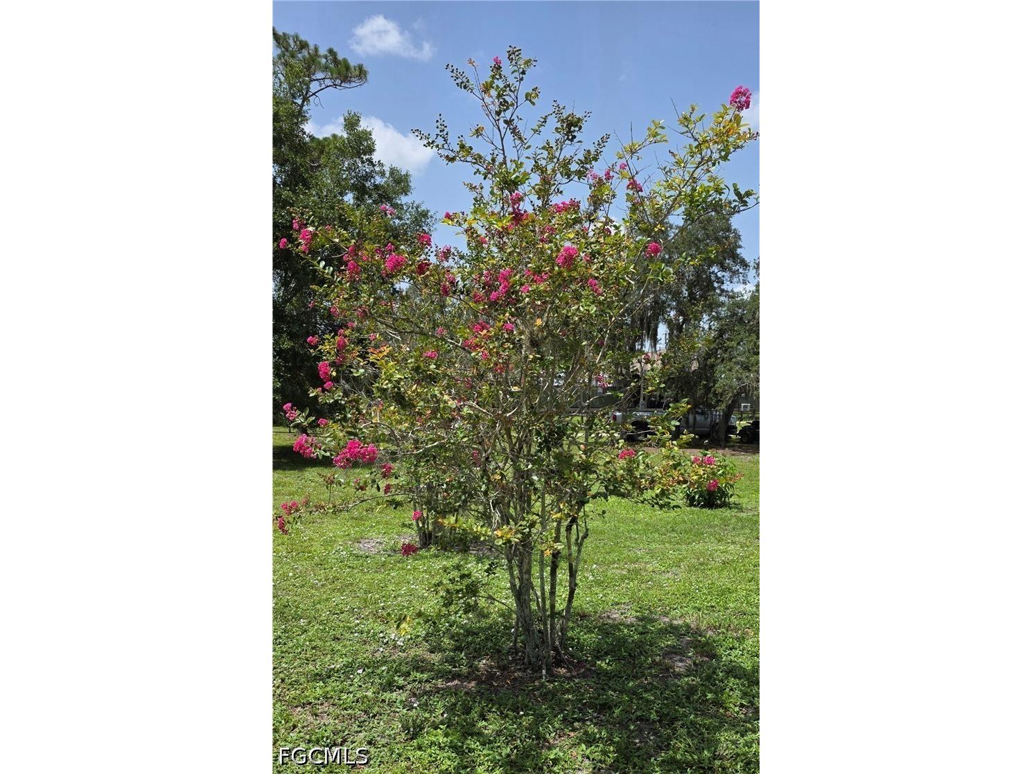 1627 Sunset Trail Labelle FL 33935 2026002420 image3