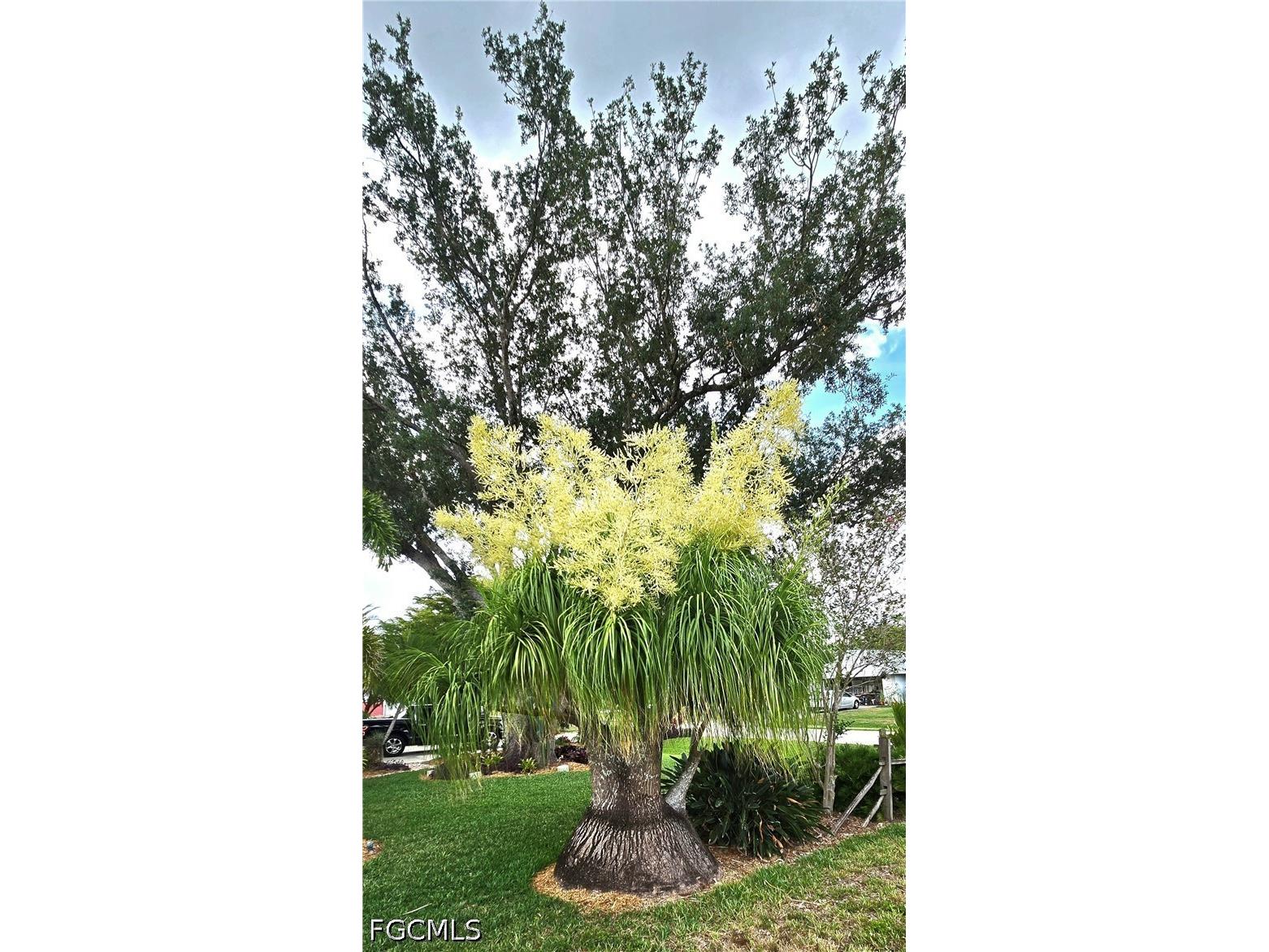  North Fort Myers FL 33917 2026022253 image48