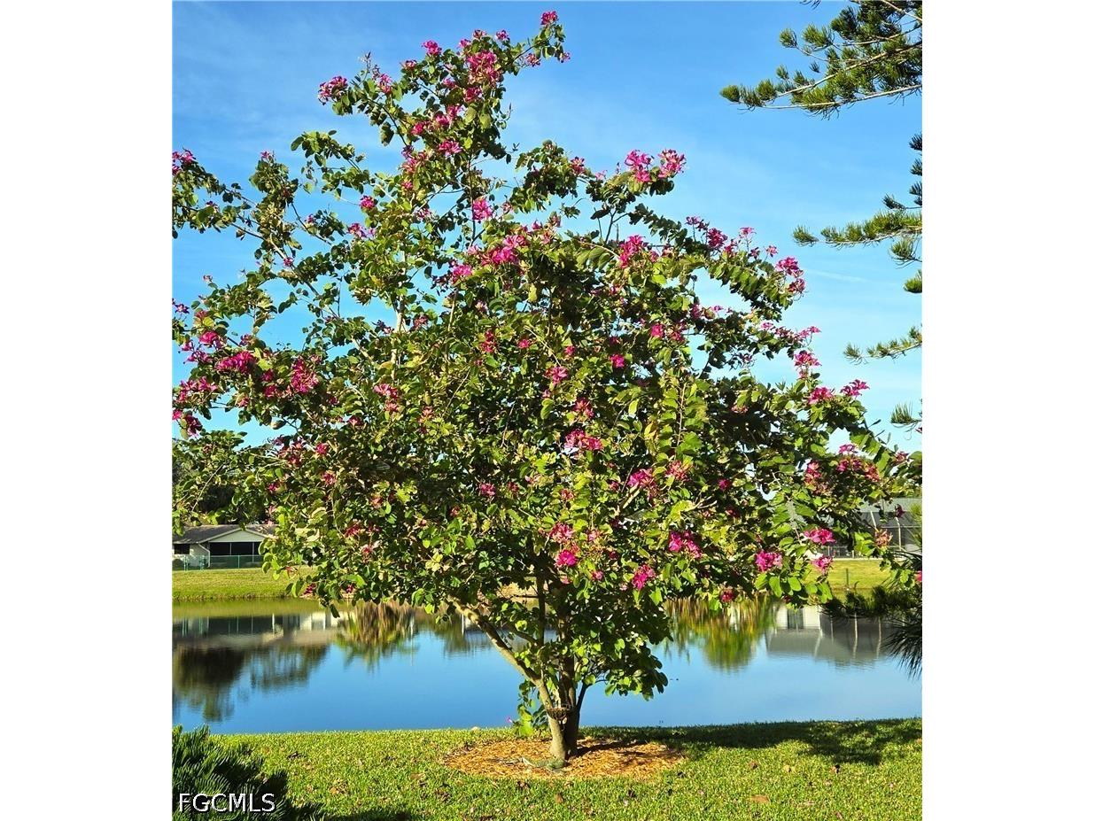  North Fort Myers FL 33917 2026022253 image9