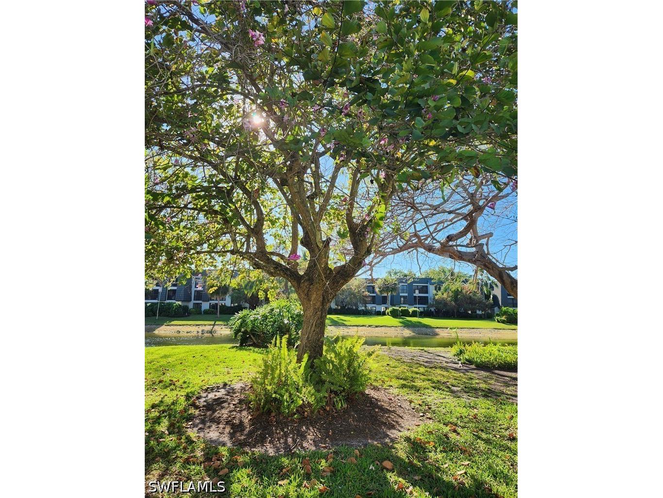 1629 Spoonbill Lane #1629-A Naples FL 34105 226010497 image22