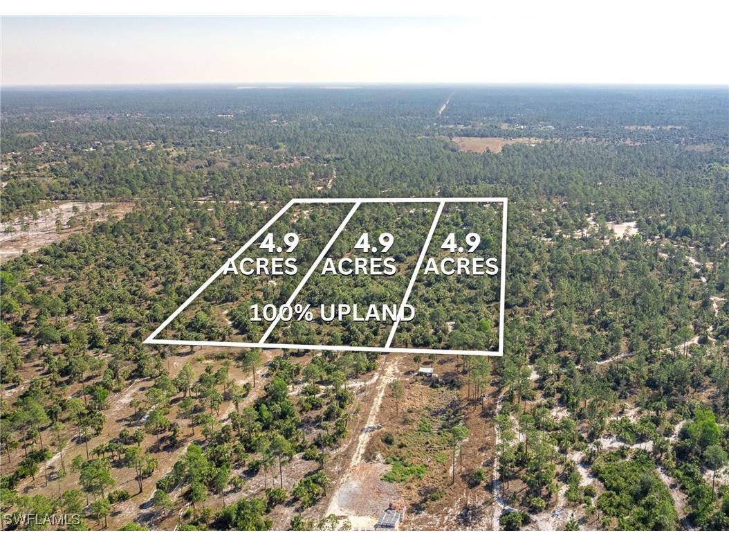 1634 Frangipani Avenue Naples FL 34117 223015951 image1