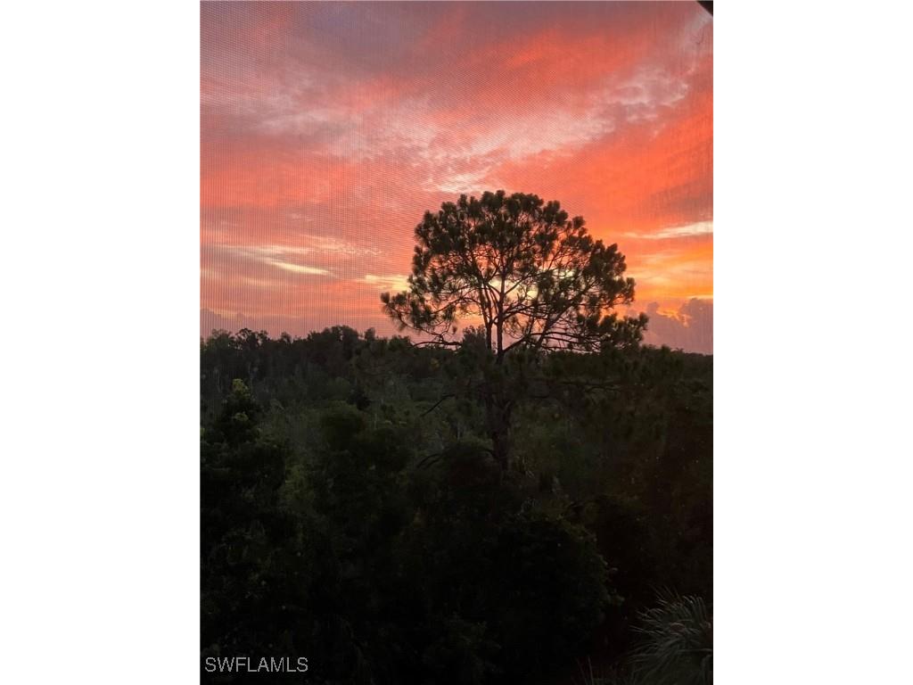 164 Indies Drive E #203 Naples FL 34114 225066961 image20