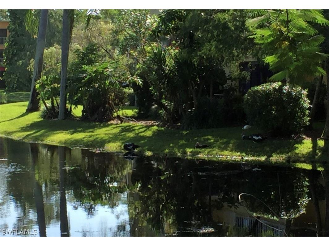 1645 Spoonbill Ln #C Naples FL 34105 226007693 image40