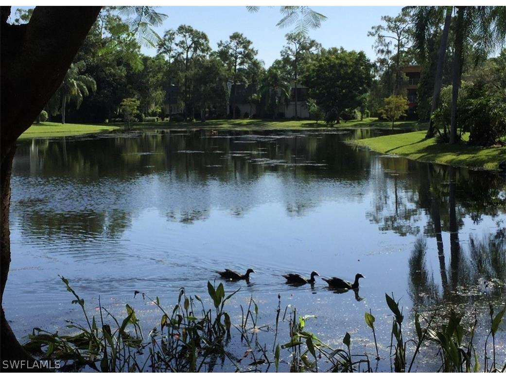 1645 Spoonbill Ln #C Naples FL 34105 226007693 image41