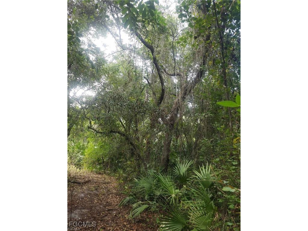 16470 B1 Daughtreys Creek Road North Fort Myers FL 33917 2025005410 image17