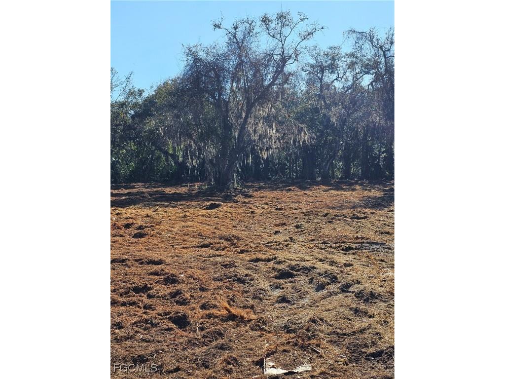 16470 B1 Daughtreys Creek Road North Fort Myers FL 33917 2025005410 image2