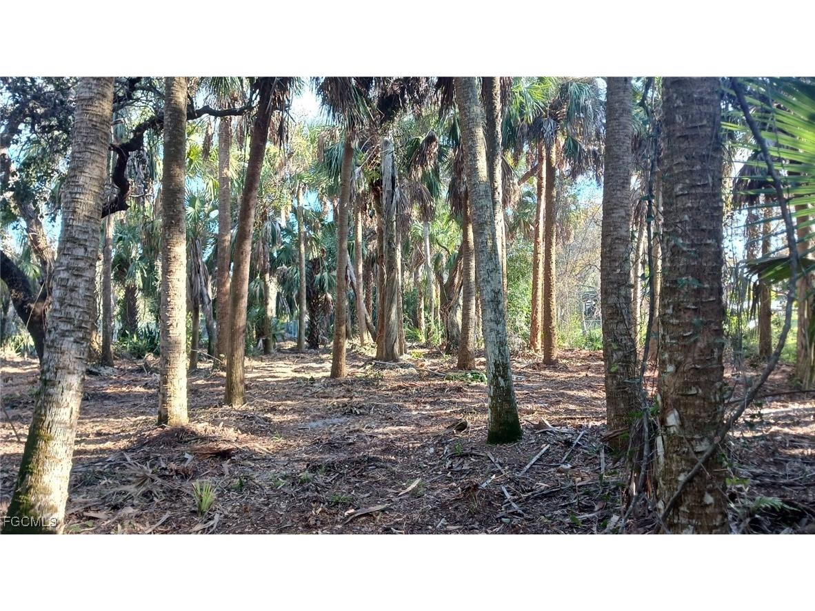 16470 B1 Daughtreys Creek Road North Fort Myers FL 33917 2025005410 image7