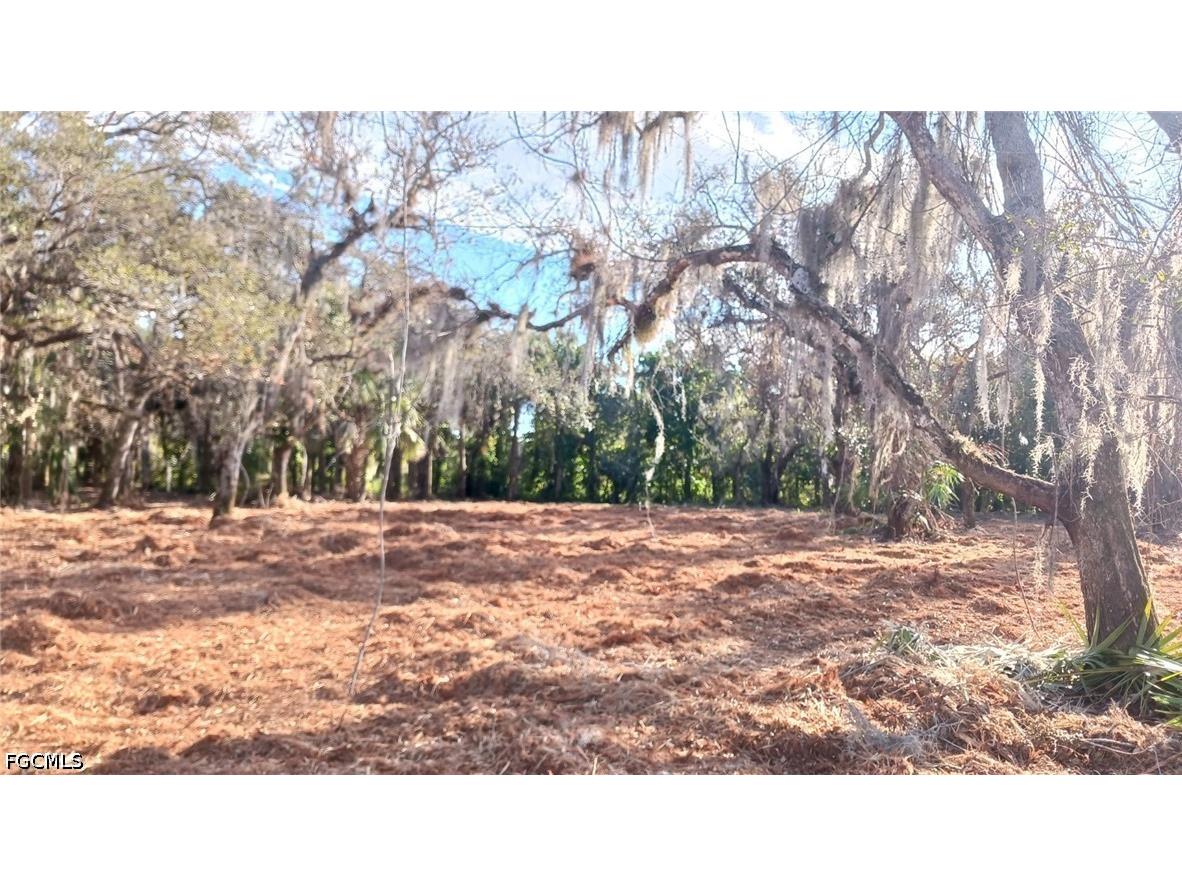 16470 B1 Daughtreys Creek Road North Fort Myers FL 33917 2026015141 image4