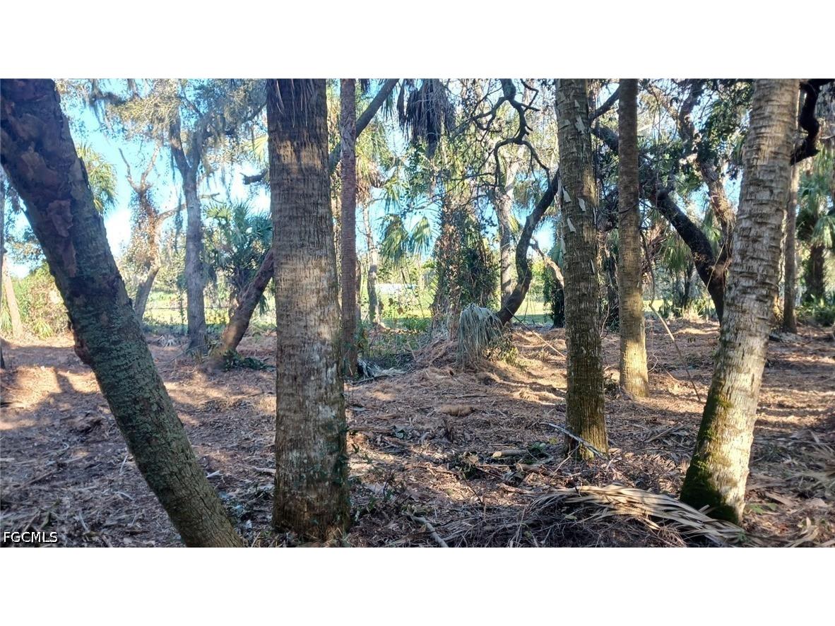 16470 B1 Daughtreys Creek Road North Fort Myers FL 33917 2026015141 image5