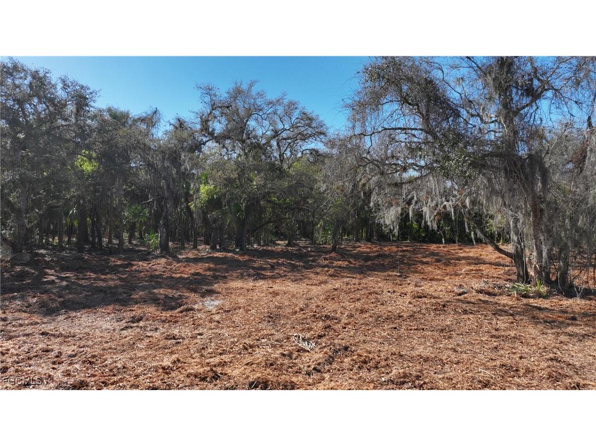 16470 B2 Daughtreys Creek North Fort Myers FL 33917 2025005431 image10