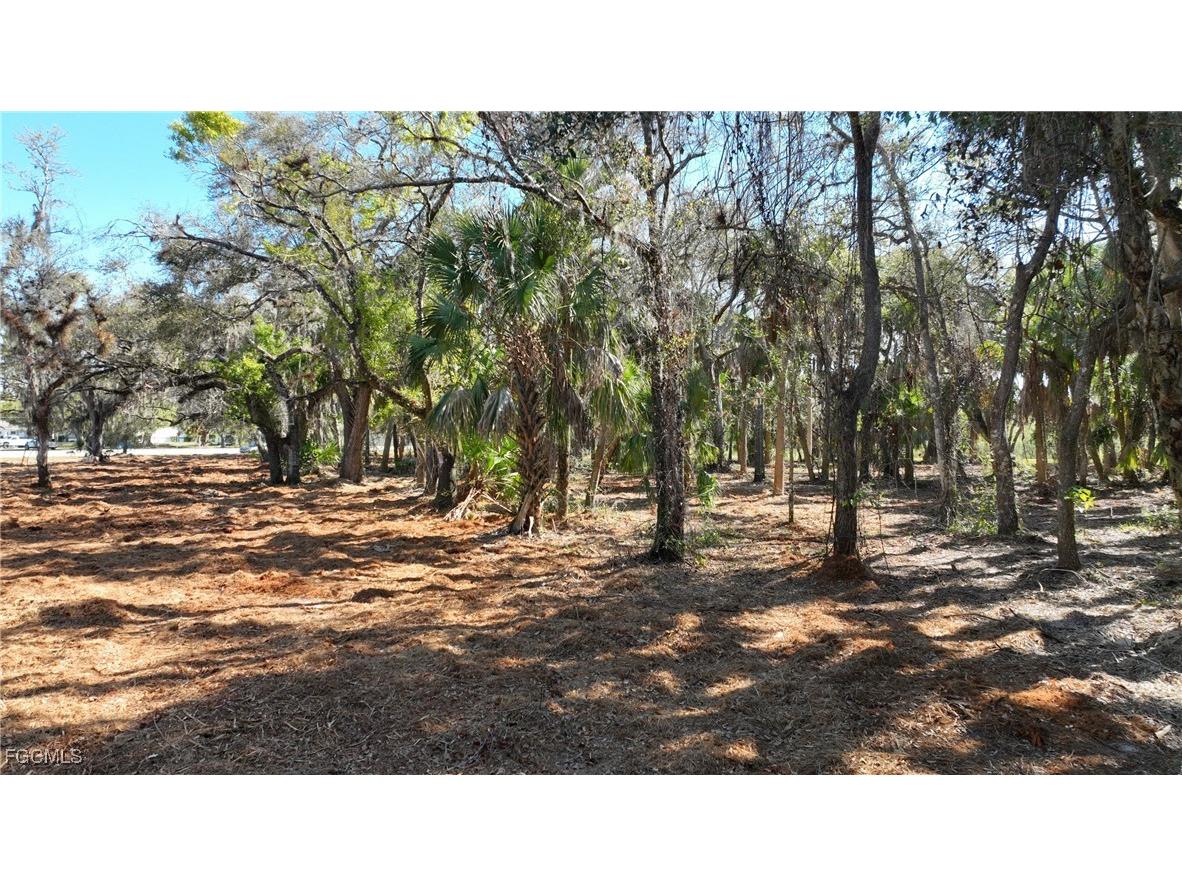 16470 B2 Daughtreys Creek North Fort Myers FL 33917 2025005431 image11