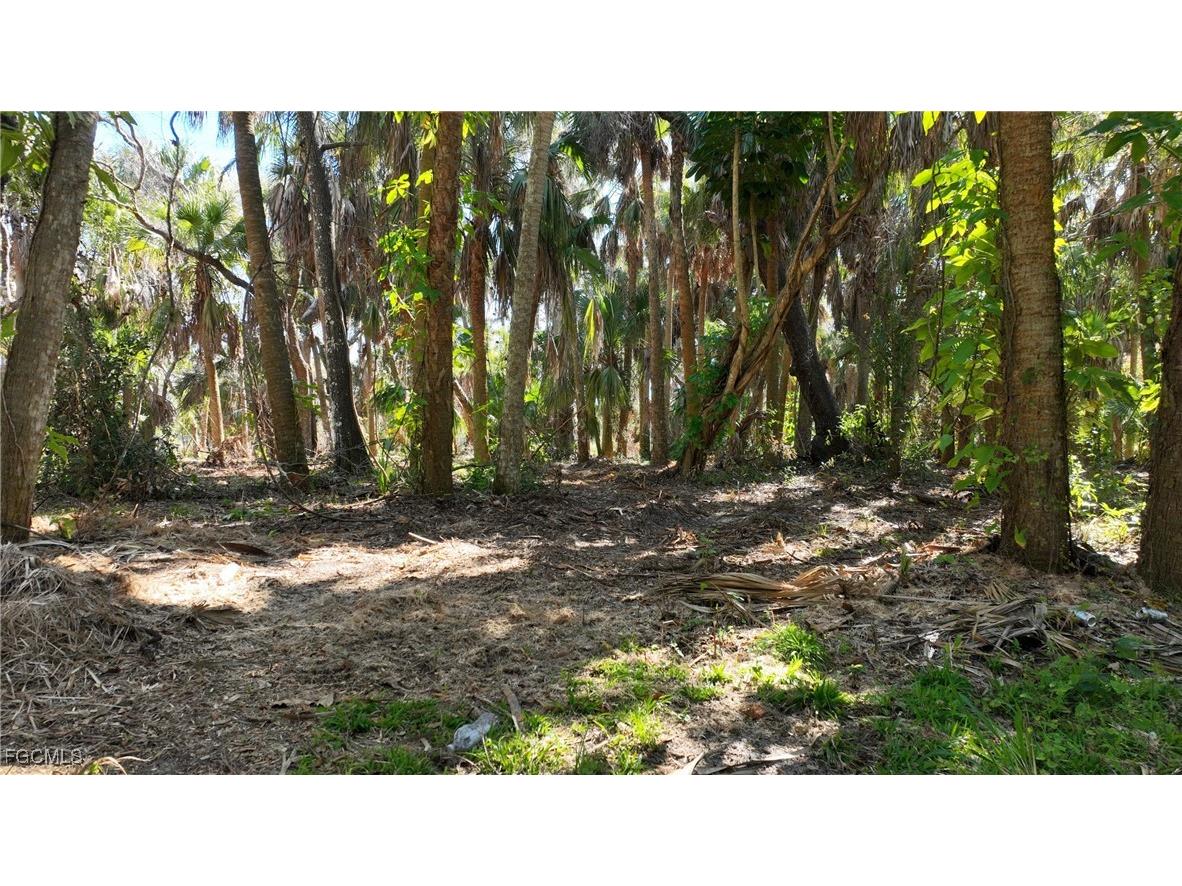 16470 B2 Daughtreys Creek North Fort Myers FL 33917 2025005431 image13