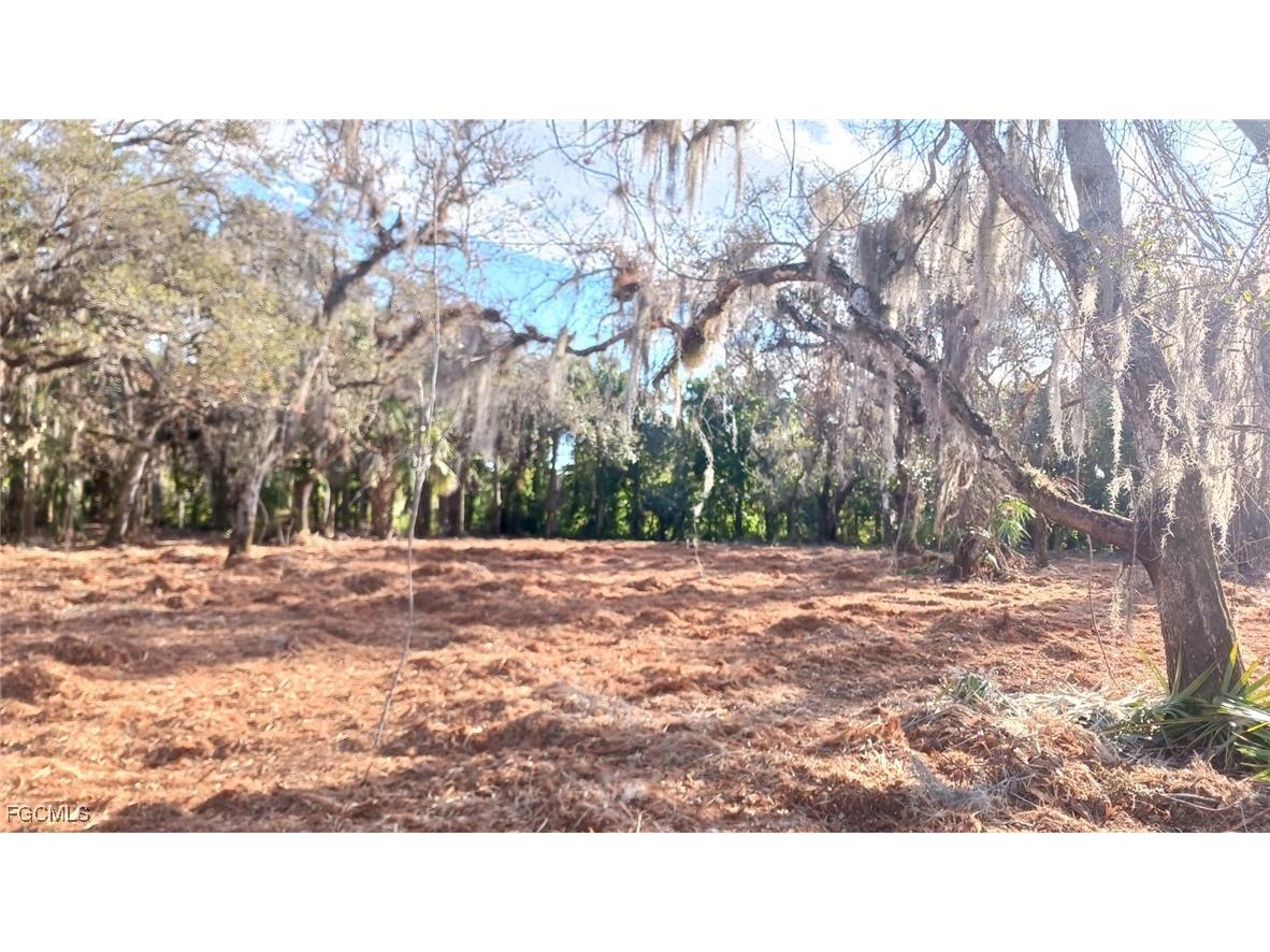 16470 B2 Daughtreys Creek North Fort Myers FL 33917 2025005431 image3