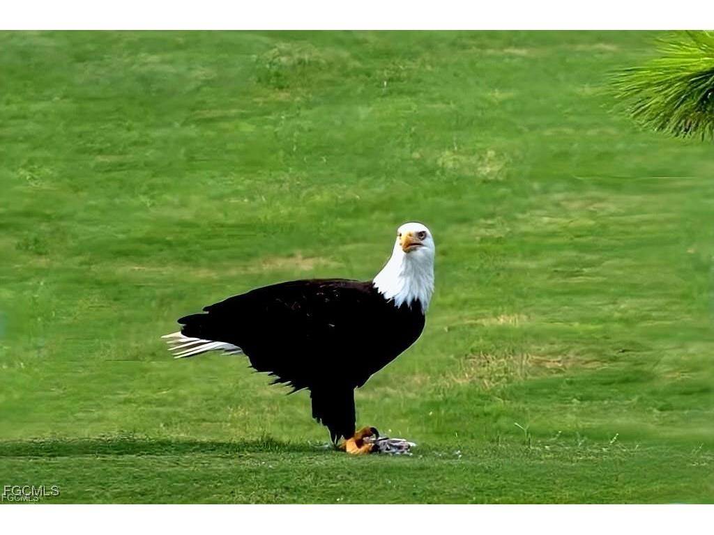 16470 Kelly Cove Drive #2846 Fort Myers FL 33908 2025023497 image43