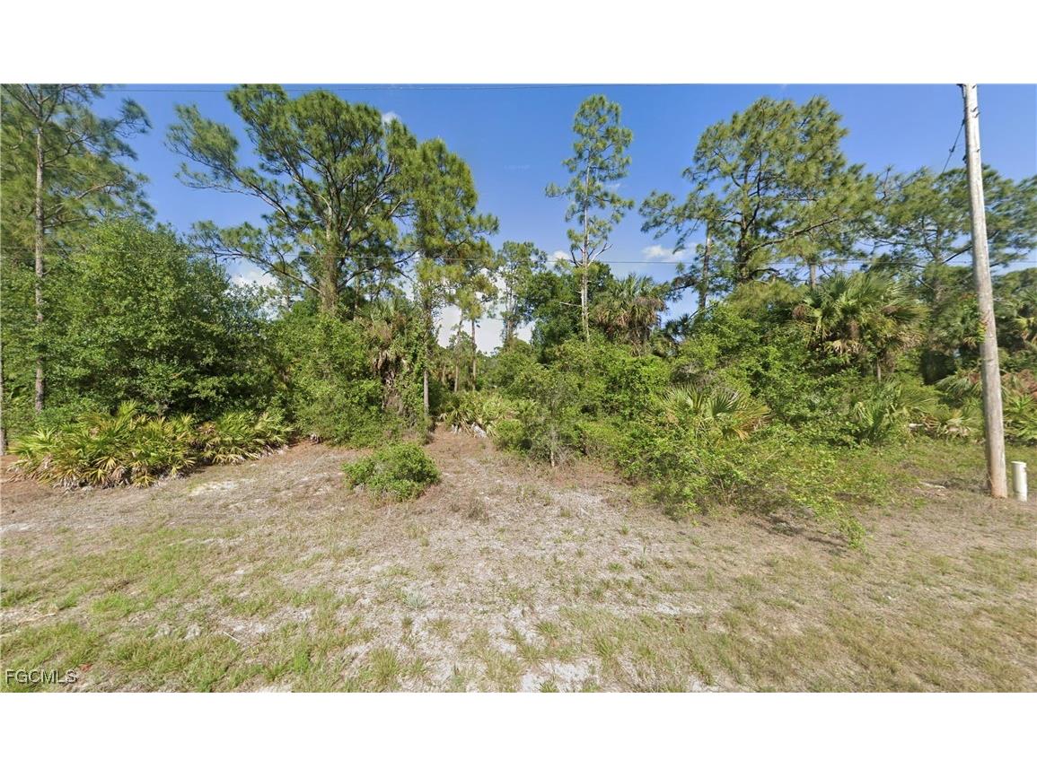 165 Birch Avenue Lehigh Acres FL 33974 2026000643 image1