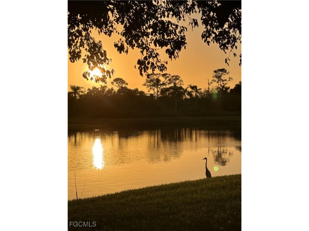 16561 Heron Coach Way #106 Fort Myers FL 33908 2025021582 image19