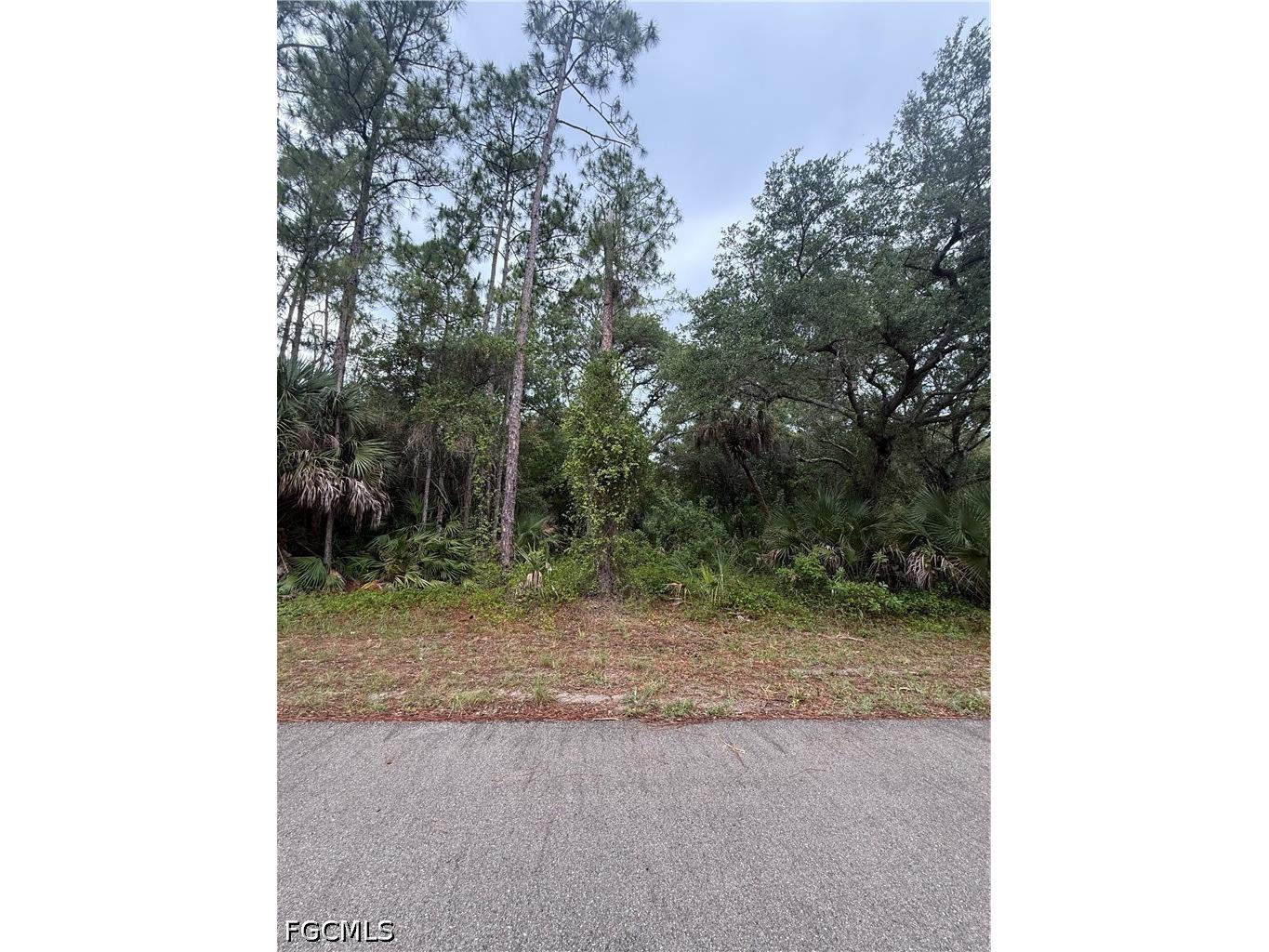 1659 Lake Avenue Lehigh Acres FL 33972 2026023695 image1