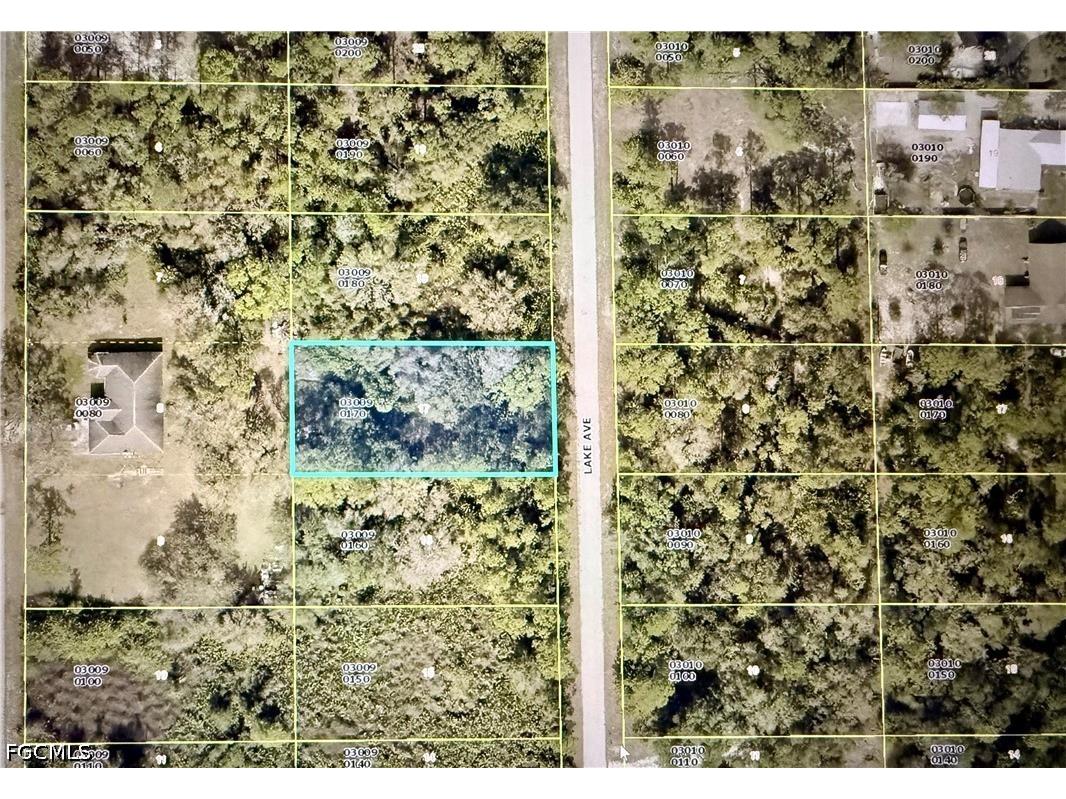 1659 Lake Avenue Lehigh Acres FL 33972 2026023695 image4