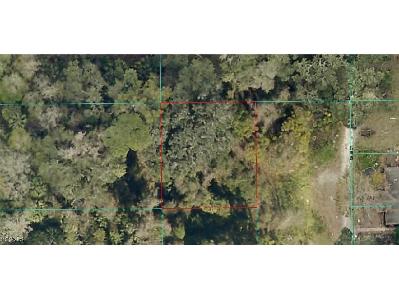 16649 NE 35th Avenue Citra FL 32133 2025007731 image1