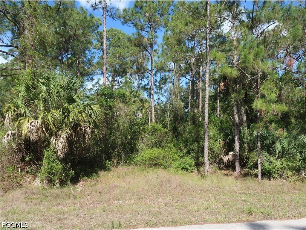 1667 Lake Avenue Lehigh Acres FL 33972 2026021749 image1