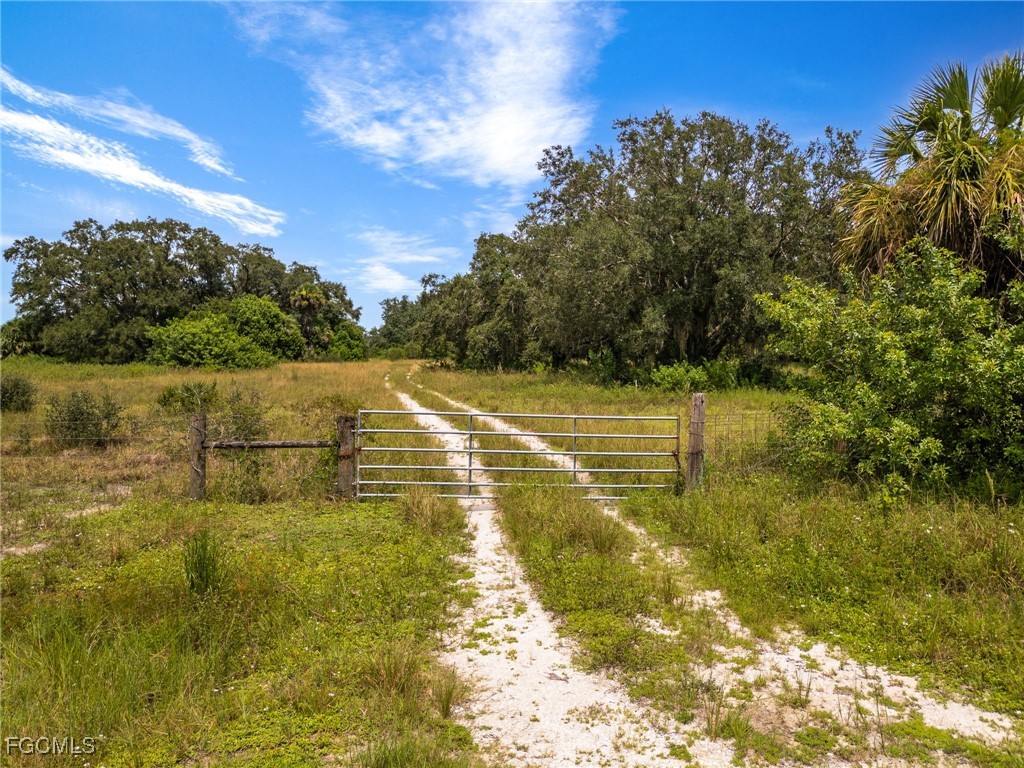 1667 Palomino Drive Moore Haven FL 33471 2025010684 image3