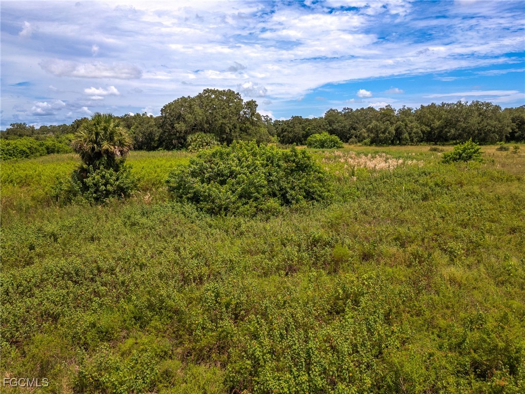 1667 Palomino Drive Moore Haven FL 33471 2025010684 image38