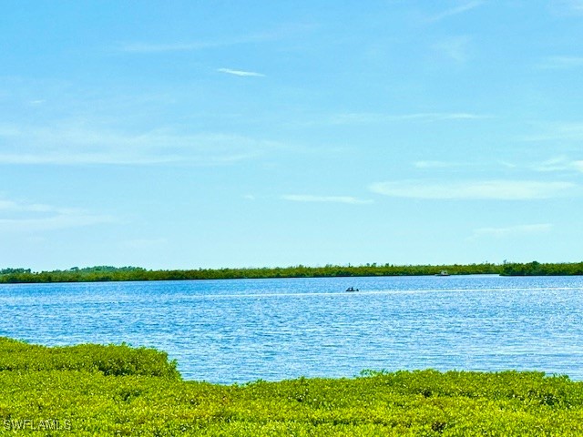 16671 Seagull Bay Court Bokeelia FL 33922 225063152 image16