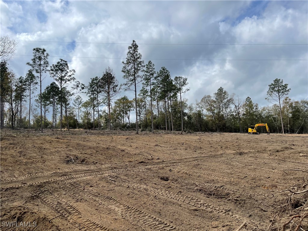 1669 Lawrence Road Bonifay FL 32428 225069681 image1