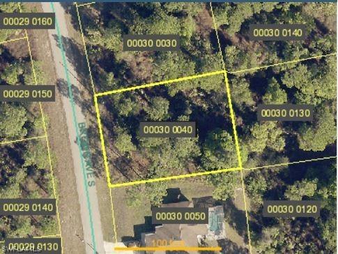 167 Brown Avenue S Lehigh Acres FL 33974 222063686 image1
