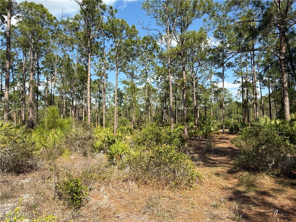 1670 Lake Avenue Lehigh Acres FL 33972 225027081 image1