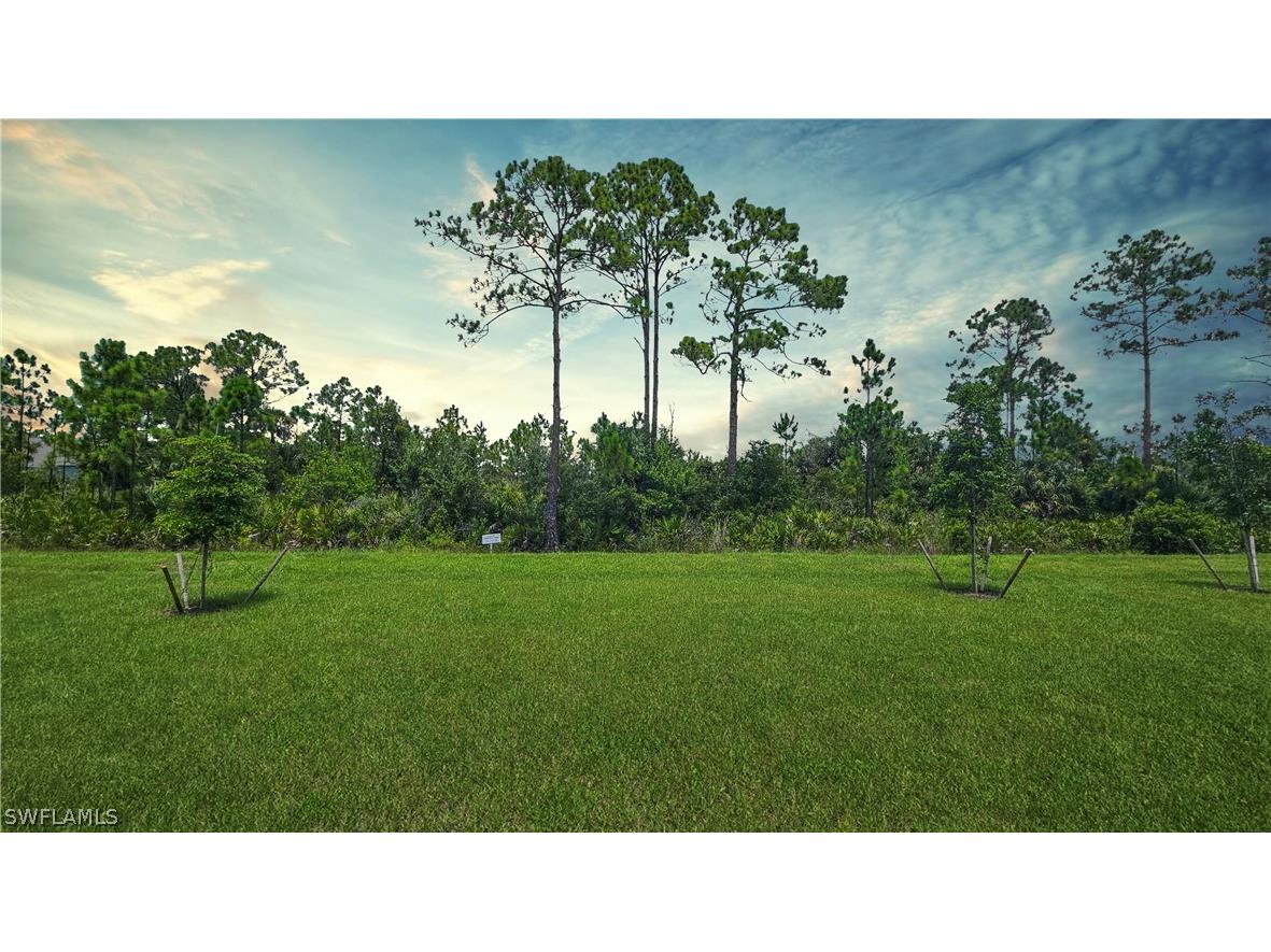 16710 Elkhorn Coral Drive North Fort Myers FL 33903 224063205 image2