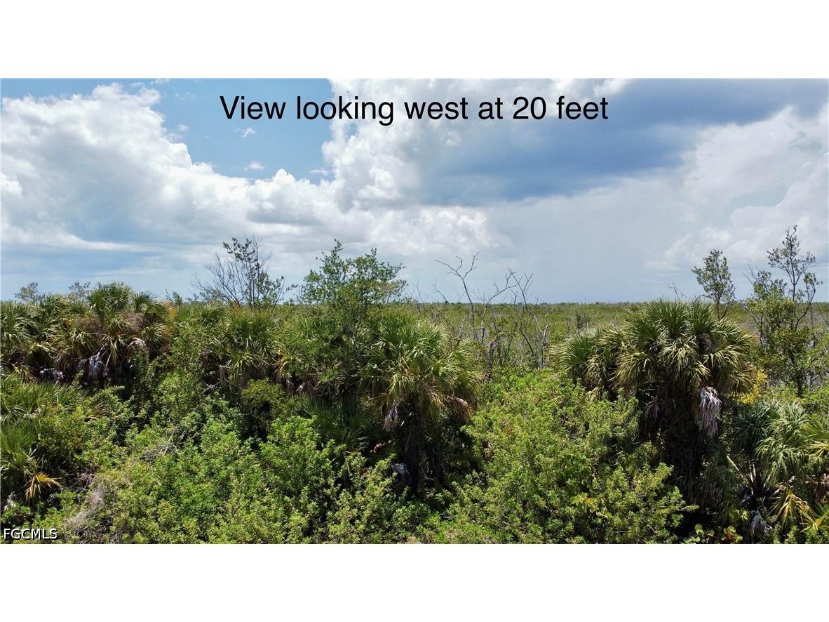 16721 San Edmundo Road Punta Gorda FL 33955 2026022902 image5