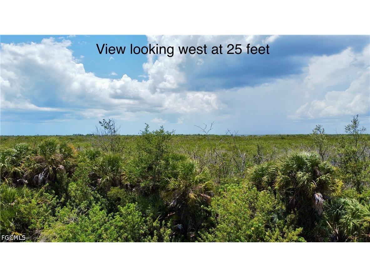 16721 San Edmundo Road Punta Gorda FL 33955 2026022902 image6
