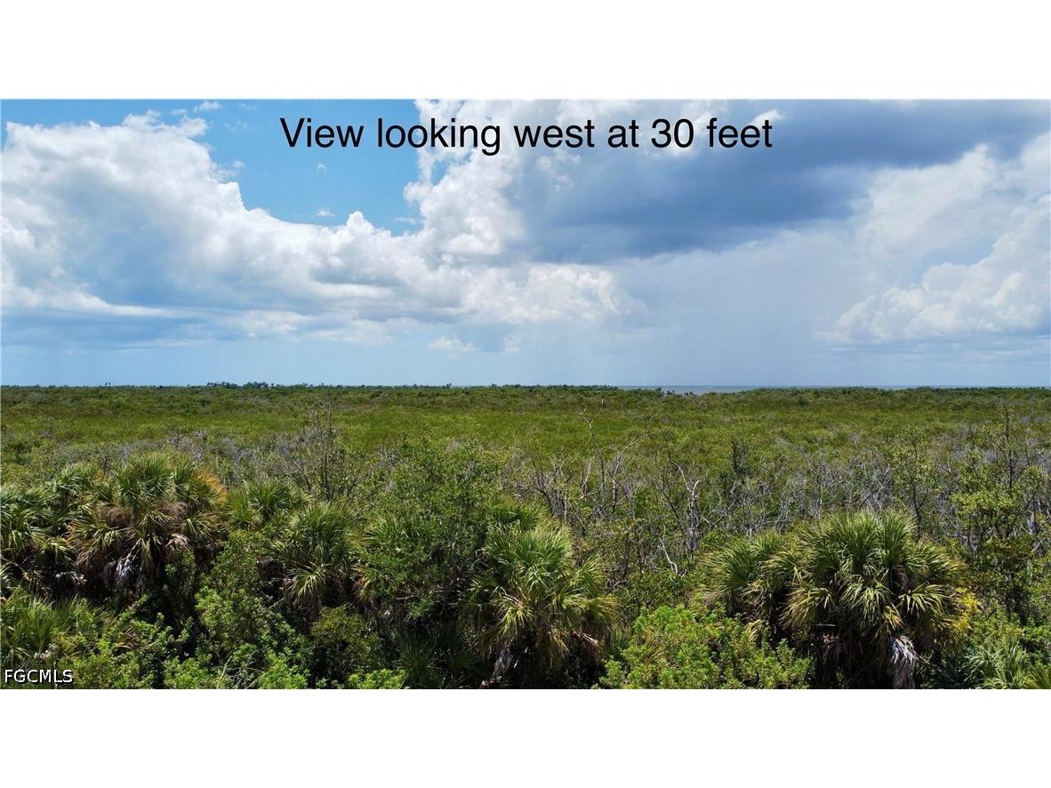 16721 San Edmundo Road Punta Gorda FL 33955 2026022902 image7