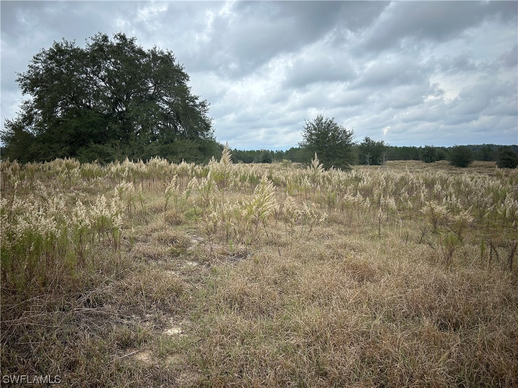 168 N Amber Meadows Terrace Inverness FL 34453 223092177 image1