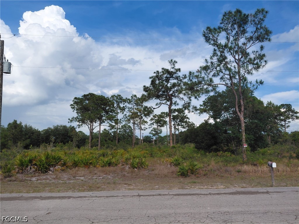 1680 Poinsettia Avenue Lehigh Acres FL 33972 2026021975 image1