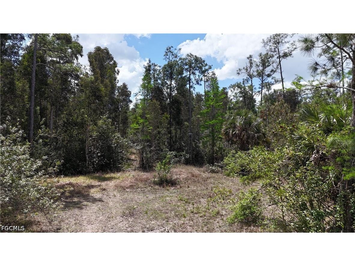 16840 Jozach Drive Naples FL 34120 2026018788 image16
