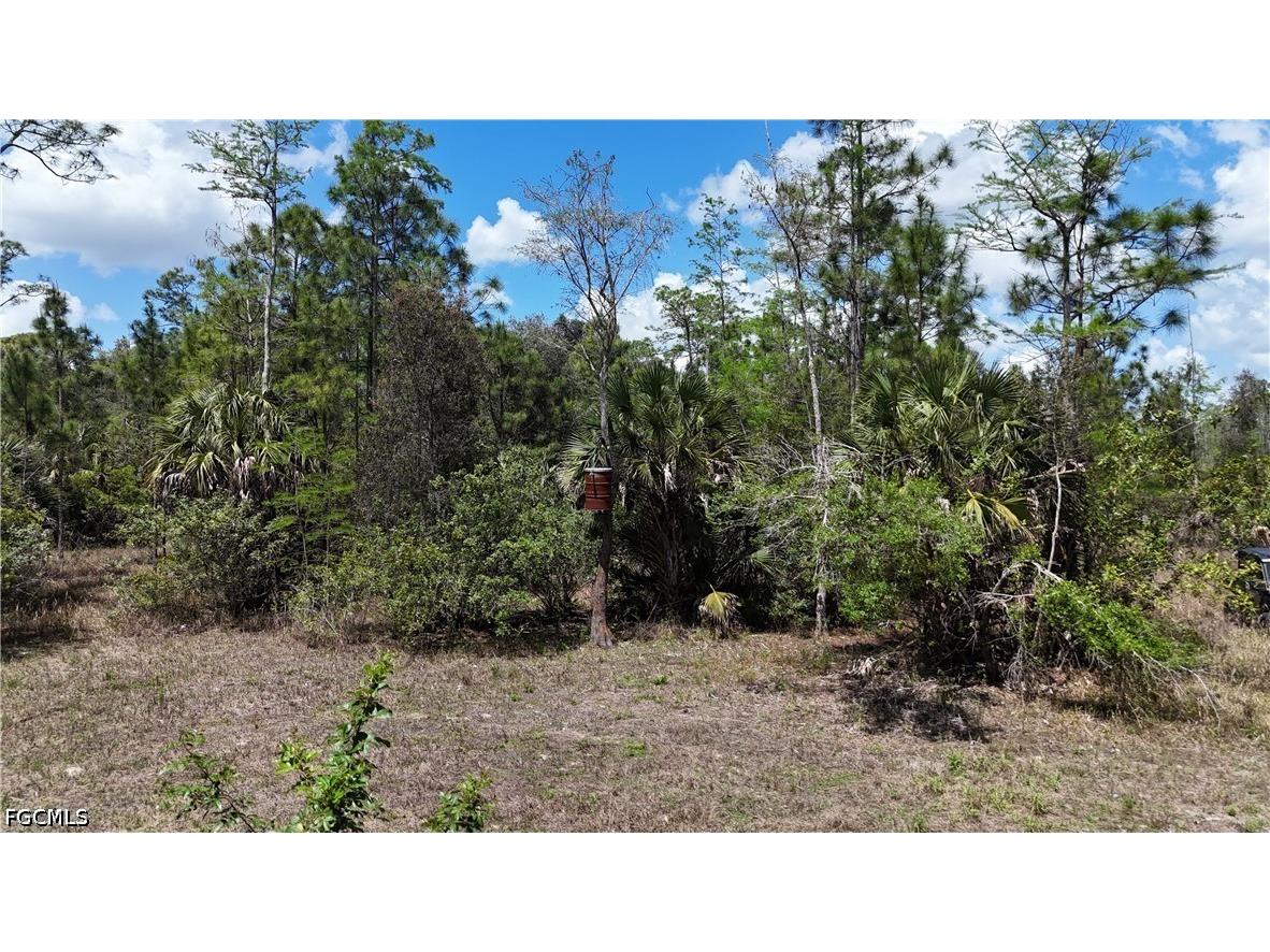 16840 Jozach Drive Naples FL 34120 2026018788 image17