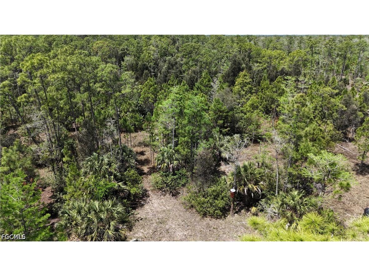 16840 Jozach Drive Naples FL 34120 2026018788 image18