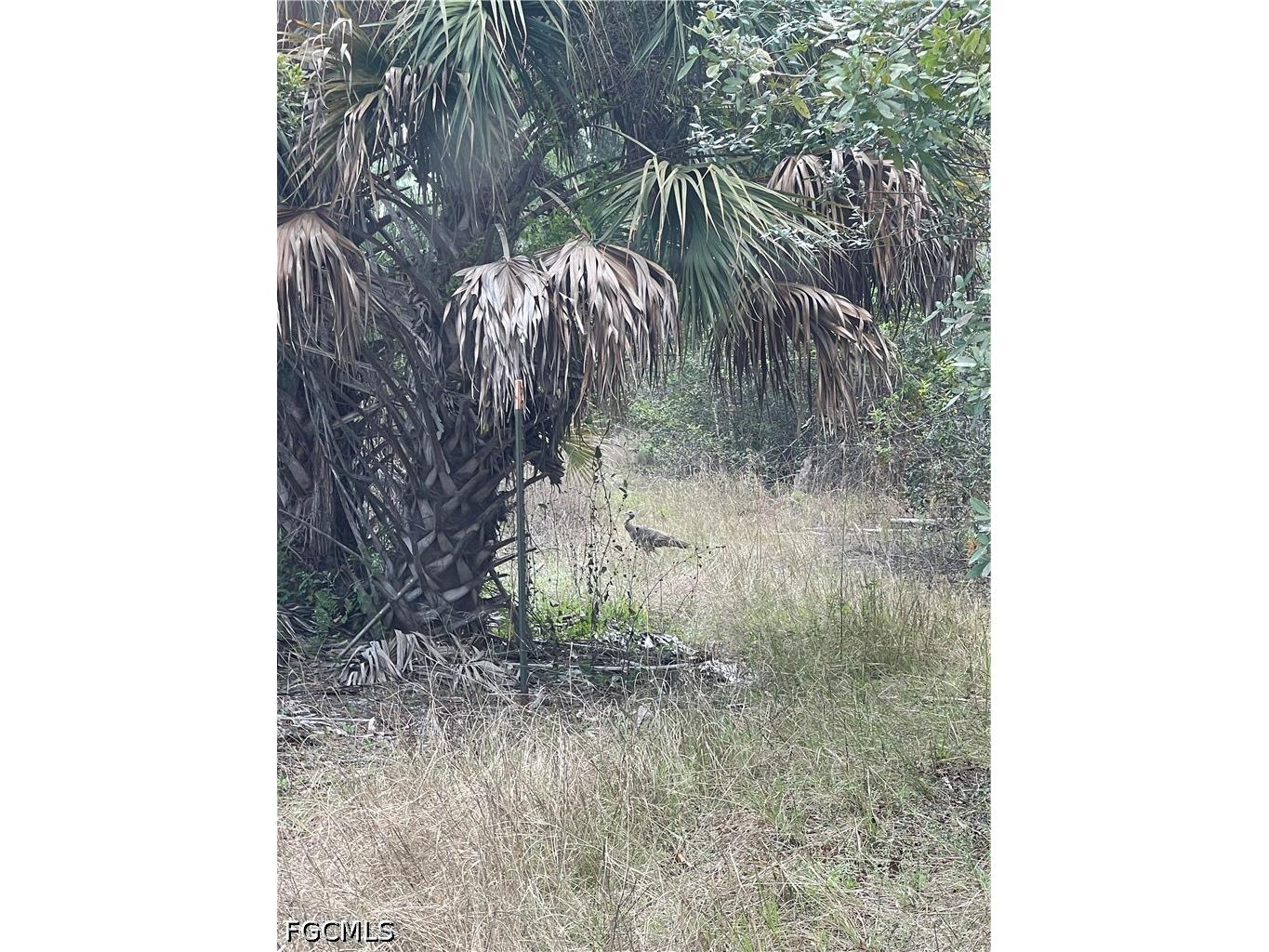 16840 Jozach Drive Naples FL 34120 2026018788 image19