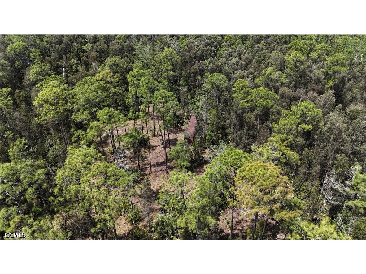 16840 Jozach Drive Naples FL 34120 2026018788 image21
