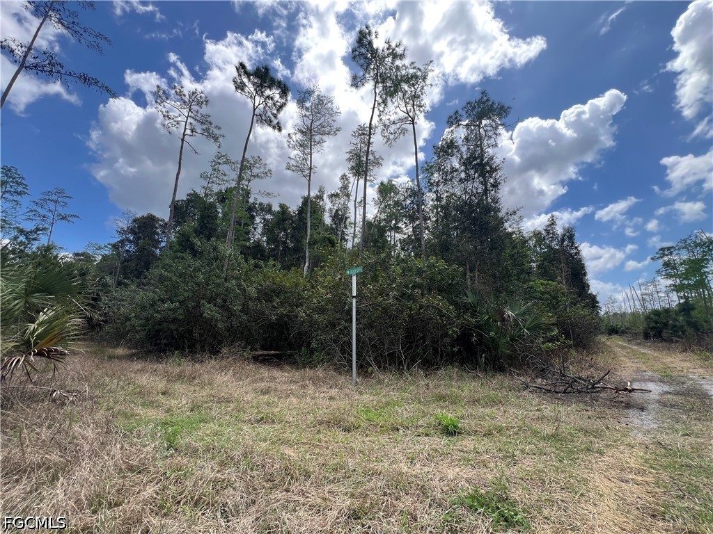 16840 Jozach Drive Naples FL 34120 2026018788 image33