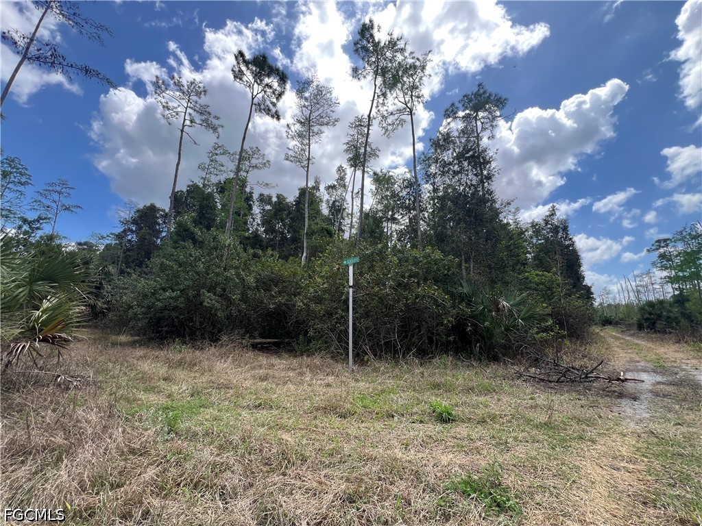 16840 Jozach Drive Naples FL 34120 2026018788 image34