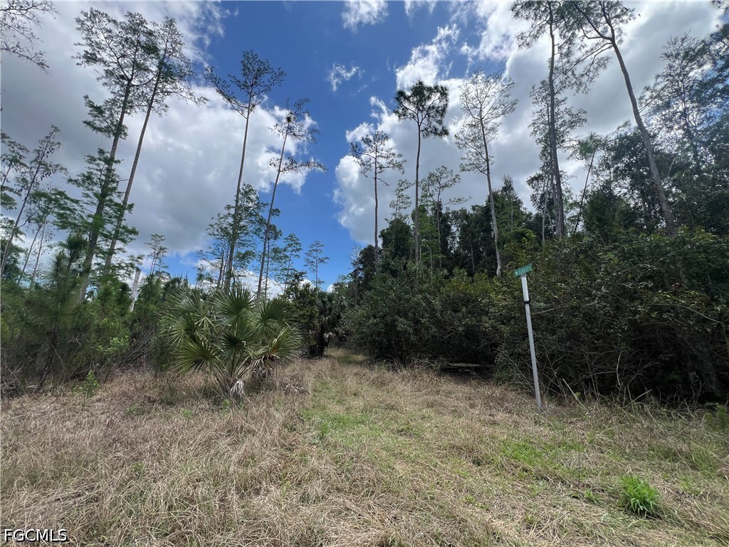 16840 Jozach Drive Naples FL 34120 2026018788 image35