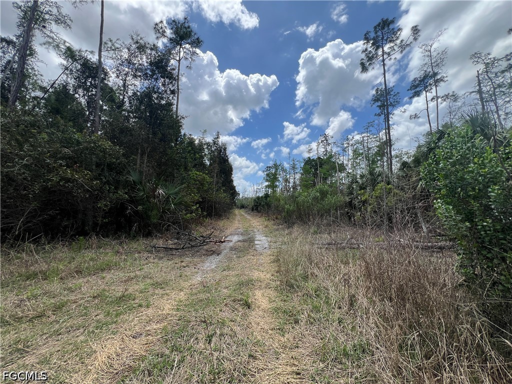 16840 Jozach Drive Naples FL 34120 2026018788 image36